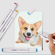 TOUCHNEW T6 Markers 40 Color Animation Design Set for Adult Art Drawing Sketching with Carry Bag